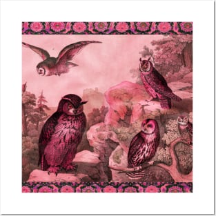 OWLS IN WILD NATURE IN RED PINK HUES Antique Animal Drawings Posters and Art